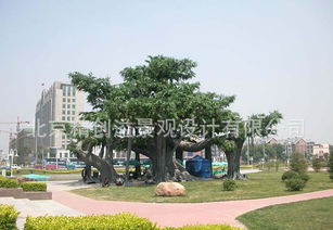 廠家供應(yīng)fs146仿真竹子價(jià)格 廠家 圖片